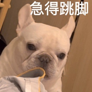 ERGGGDFFFDH435435 a ni.